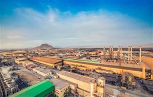 حمایت صنایع مادر در تولید شیر ضد كرونا