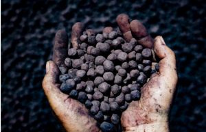 ۱۰ هزار تن گندله گل گهر در بورس کالا معامله شد