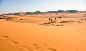 سودان تاسیس بورس طلا، موادمعدنی و کالاهای کشاورزی را تصویب کرد