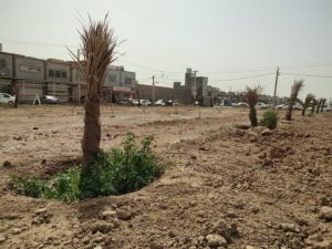 عمليات ایجاد کمربند فضای سبز میان فولاد خوزستان و مجموعه بنکداران اهواز