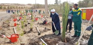 آیین نهال کاری و توسعه پروژه فضای سبز جنگل ۲۴ هکتاری شرکت فولاد خوزستان