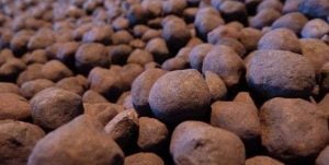 محموله های صادراتی گندله در ماه می ۲۴ درصد کاهش یافت