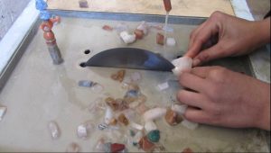 راه اندازی کارگاه گهرتراشی در یزد تا پایان امسال