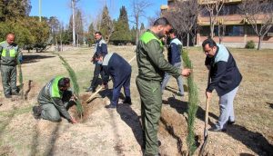 فضای سبز ذوب آهن اصفهان؛ میراثی گران بها و ارزشمند