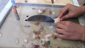 برگزاری دوره‌های آموزشی گوهرتراشی