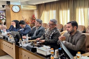 سرمایه‌گذاری برای ایجاد زنجیره ارزش و حلقه‌های تکمیلی زغال سنگ در خراسان جنوبی