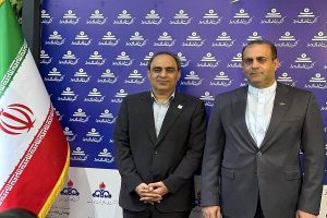 تأکید بر هم‌ افزایی برای تکمیل زنجیره تولید