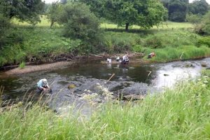 گام مهم شرکت Karelian برای احداث نخستین معدن الماس در اتحادیه اروپا