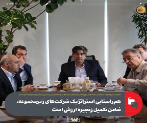 هم‌ راستایی استراتژیک شرکت‌ های زیرمجموعه، ضامن تکمیل زنجیره ارزش است