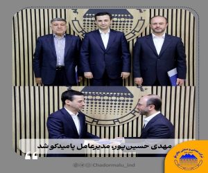 مهدی حسین‌پور ، مدیرعامل پامیدکو شد