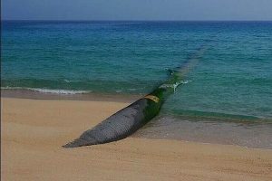 آب دریای عمان به اصفهان رسید