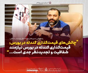 چالش‌ های قیمت‌ گذاری گندله در بورس; : قیمت‌ گذاری گندله در بورس نیازمند شفافیت و تجدیدنظر جدی است