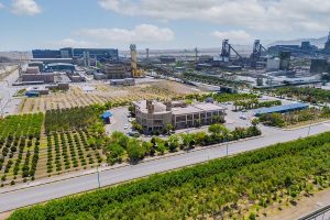 پوشش ۱۷ هکتاری فضای سبز و اجرای دیواره‌ های گیاهی برای کاهش غبار و حفاظت زیست‌ محیطی