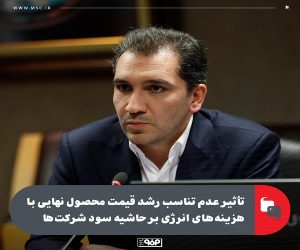 تأثیر عدم تناسب رشد قیمت محصول نهایی با هزینه‌ های انرژی بر حاشیه سود شركت‌ ها