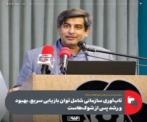 تاب‌ آوری سازمانی شامل توان بازیابی سریع، بهبود و رشد پس از شوک‌ هاست