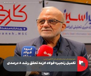 تکمیل زنجیره فولاد لازمه تحقق رشد ۸ درصدی