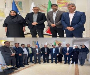 مهدی باصره مجری طرح‌ های اکتشافی منطقه کرمان شد