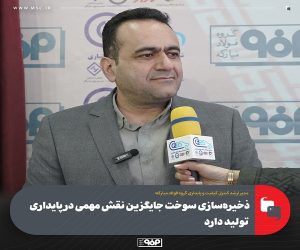ذخیره‌سازی سوخت جایگزین نقش مهمی در پایداری تولید دارد