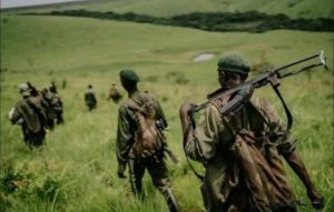 نبرد بر سر معدن راهبردی کلتان «روبایا» در شرق کنگو