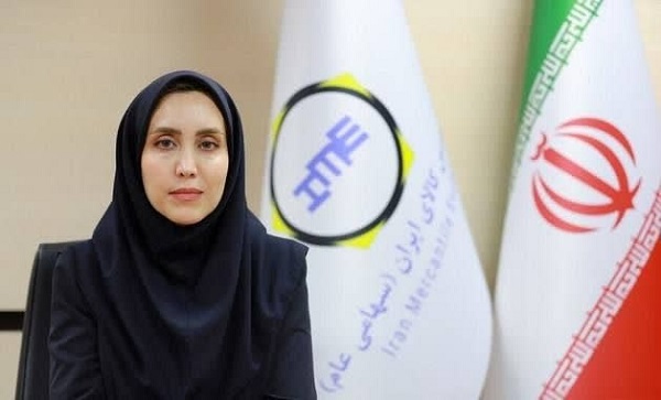 توسعه آهن و فولاد گل‌گهر