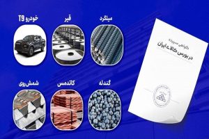 توسعه ابزارهای مالی در بورس کالا با راه‌اندازی صندوق‌های کالایی جدید
