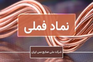 رشد ۱۸۱ درصدی فروش فملی تا پایان اردیبهشت‌ماه