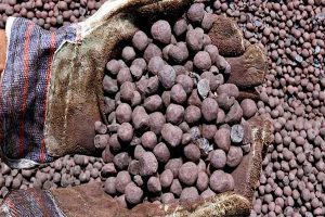 تیغ محاصره بر گردن گندله صادراتی ایران؛ توقف کشتی‌ها در دریای عمان
